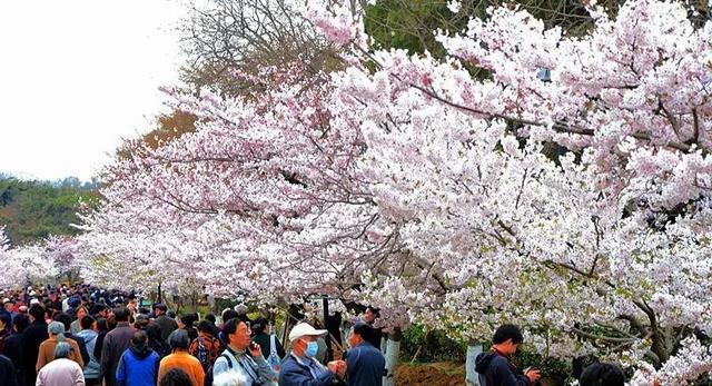 组图:80年前的'青岛十景',你去过几个? 组图:80年前的'青岛十景',你去过几个?