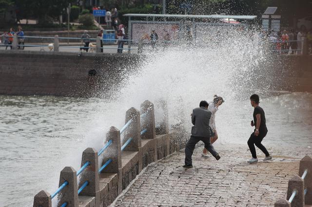 高清:栈桥海水浴场掀起大浪 场面蔚为壮观