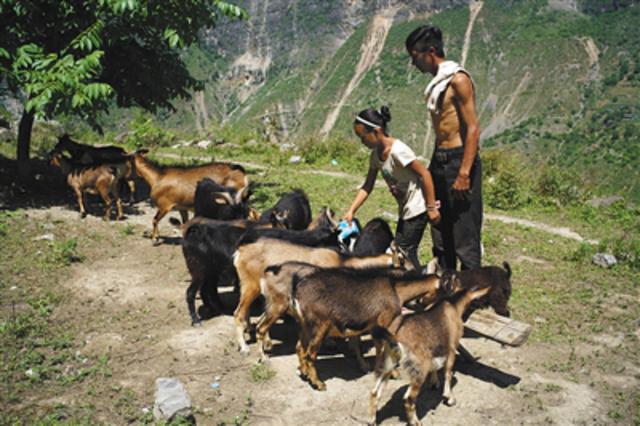 四川悬崖村陷扶贫困境：修路或者搬迁都是难题