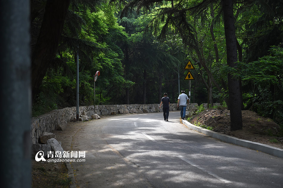 盘点老城区10条特色林荫路 每条各具气质