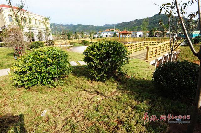 高清:青岛39中新校亮相 舞蹈厅小剧场一应俱全