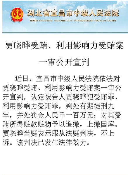 贾晓晔因受贿一审被判处有期徒刑9年，当庭表示不上诉