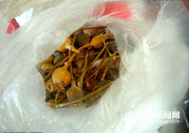 莱西男子用罂粟壳熬制面汤 顾客吃后欲罢不能