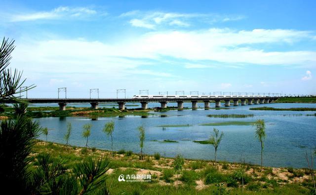 流水潺潺绿意葱茏 大沽河两岸宛若江南