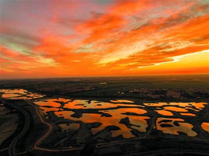 组图:探访夏日醉美大沽河 随到一处都是景