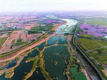 组图:探访夏日醉美大沽河 随到一处都是景