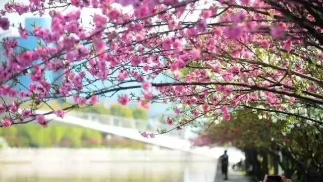 拿好不谢!从青岛出发的17条绝美自驾游线路(图)