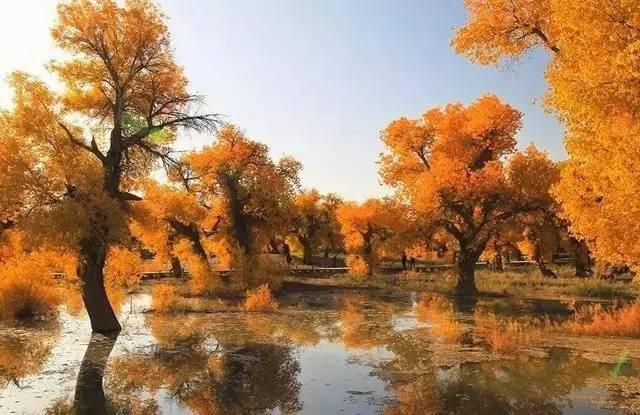 拿好不谢!从青岛出发的17条绝美自驾游线路(图)