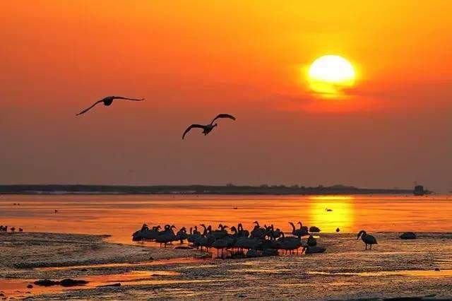 拿好不谢!从青岛出发的17条绝美自驾游线路(图)