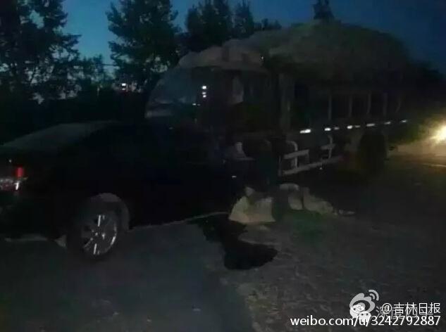 刚参加完高考 4名学生无证酒驾身亡