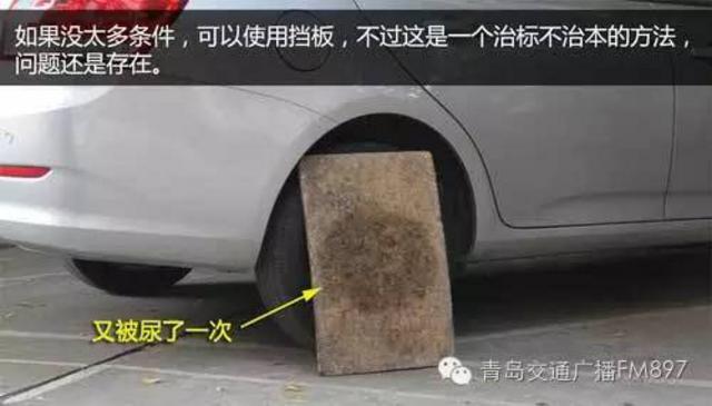 车主抱怨轮胎总被狗狗尿 要防止可以这么做(图)