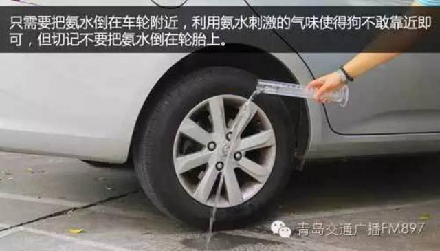 车主抱怨轮胎总被狗狗尿 要防止可以这么做(图)