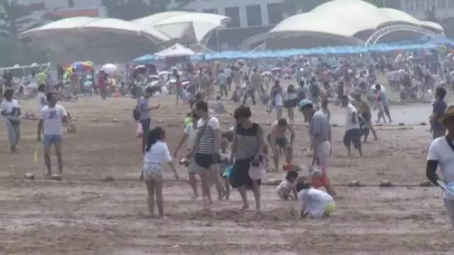 洗海澡被海蜇蜇伤应咋办?千万别用淡水冲(组图)