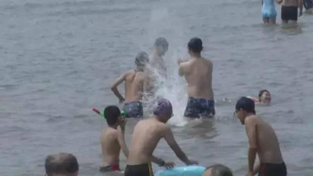 洗海澡被海蜇蜇伤应咋办?千万别用淡水冲(组图)