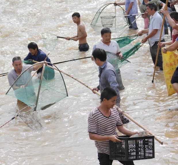 暴雨后市民蜂拥下河抓鱼 挖掘机蚊帐上阵