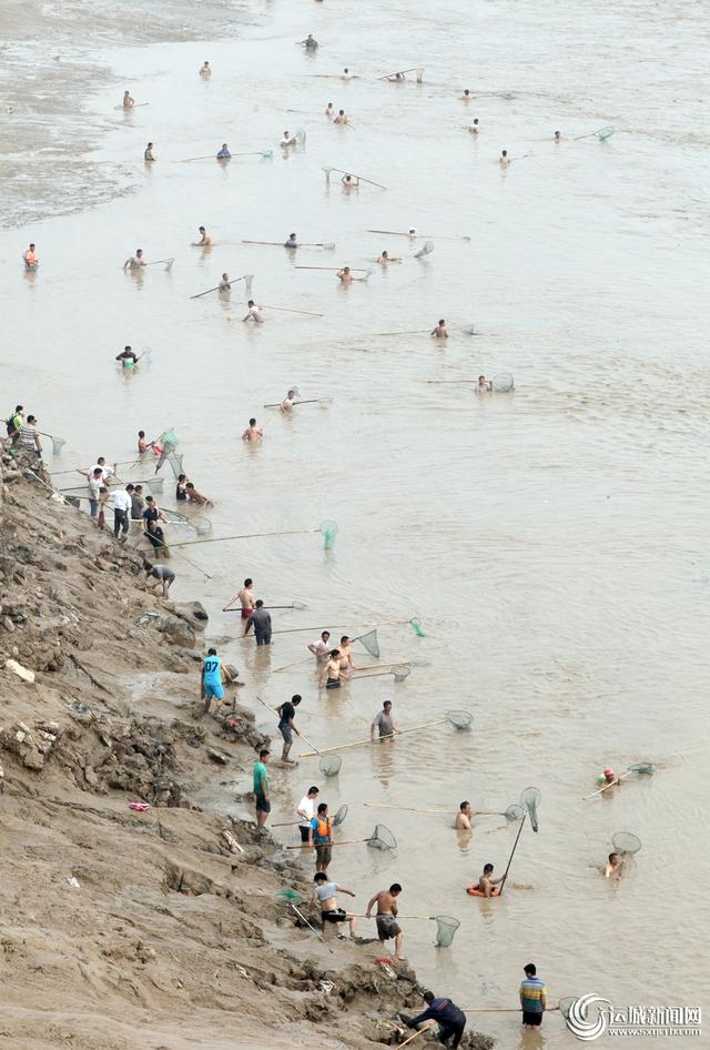 三门峡黄河大坝调水调沙 上千人河边冒险捞鱼