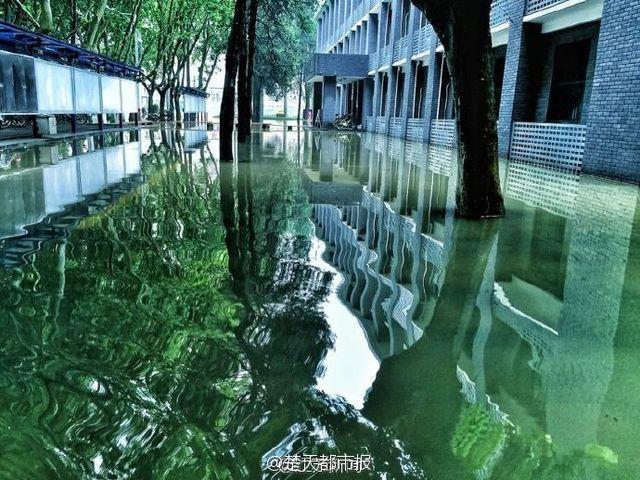暴雨过后 南京理工大奇幻森林照片刷爆朋友圈 暴雨过后 南京理工大奇幻森林照片刷爆朋友圈