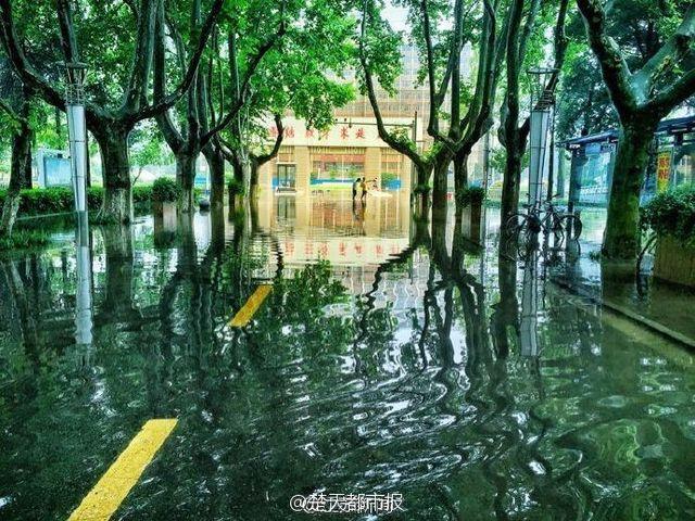 暴雨过后 南京理工大奇幻森林照片刷爆朋友圈 暴雨过后 南京理工大奇幻森林照片刷爆朋友圈