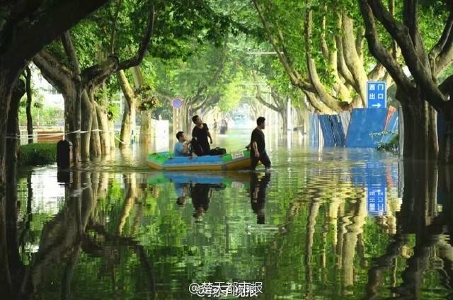 暴雨过后 南京理工大奇幻森林照片刷爆朋友圈