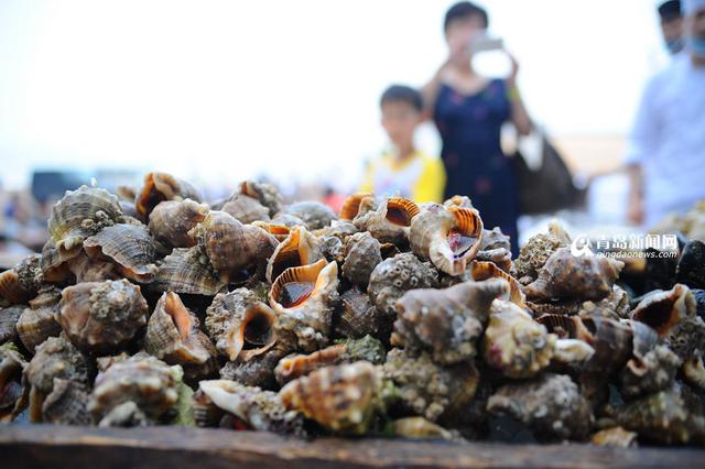 盛夏来青岛品美食 看大厨玩转本地海鲜 盛夏来青岛品美食 看大厨玩转本地海鲜
