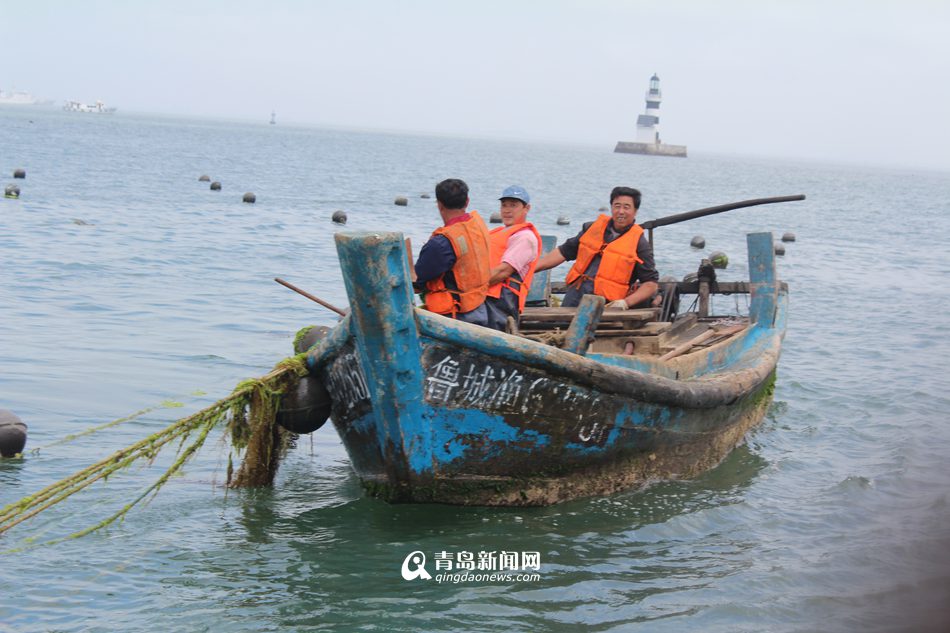 5艘执法船海上突袭 清理20亩非法养殖区
