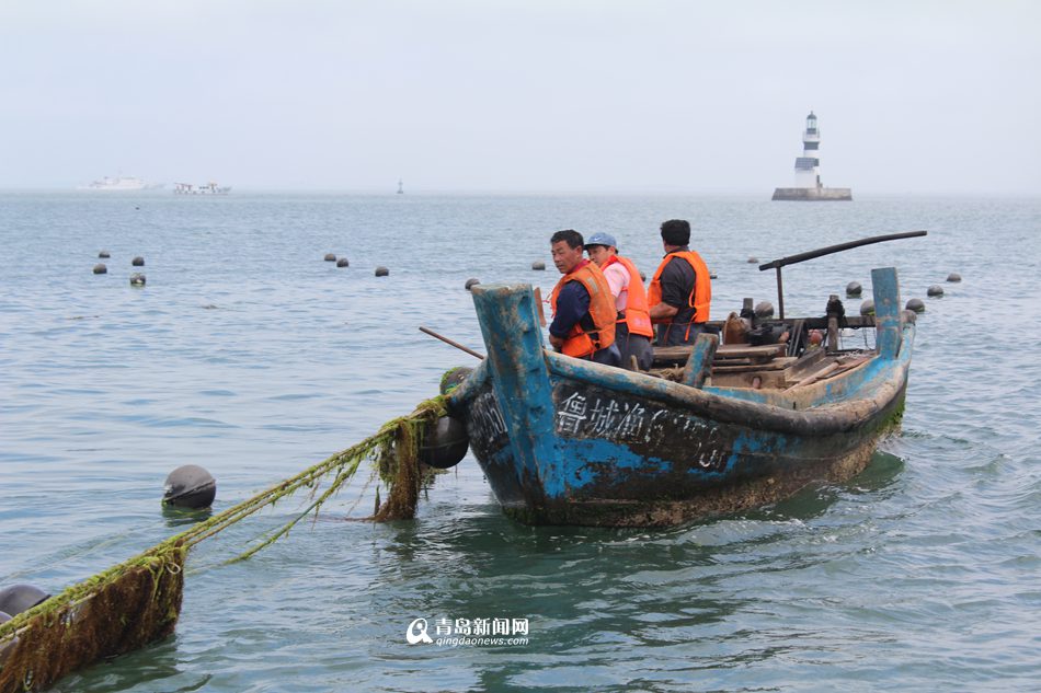 5艘执法船海上突袭 清理20亩非法养殖区