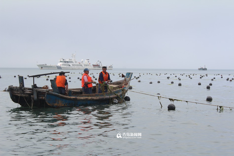 5艘执法船海上突袭 清理20亩非法养殖区