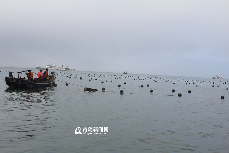 5艘执法船海上突袭 清理20亩非法养殖区