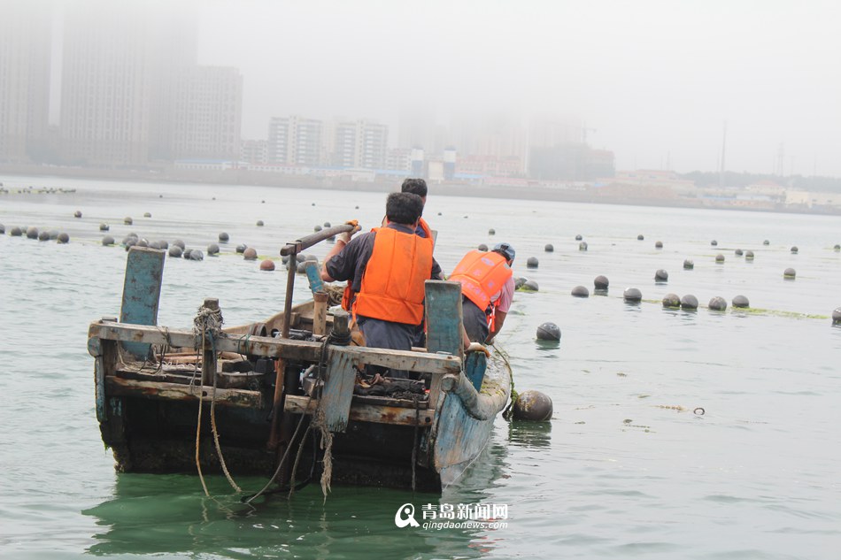 5艘执法船海上突袭 清理20亩非法养殖区