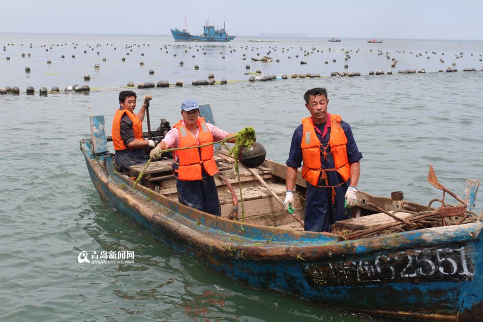 5艘执法船海上突袭 清理20亩非法养殖区