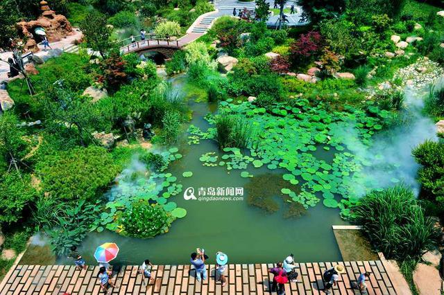 世博园办啤酒节分会场 8月6日率先哈起来