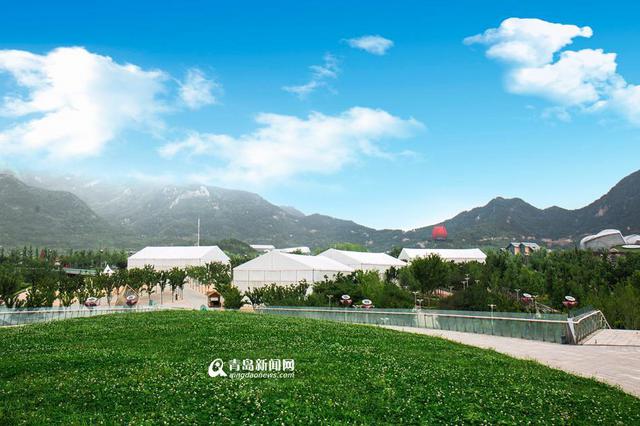 世博园办啤酒节分会场 8月6日率先哈起来