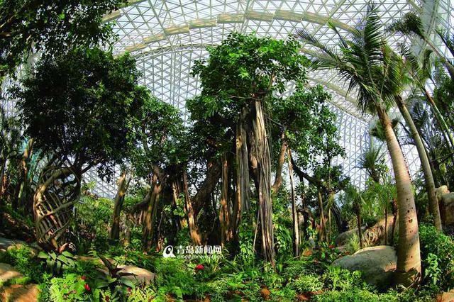 世博园办啤酒节分会场 8月6日率先哈起来