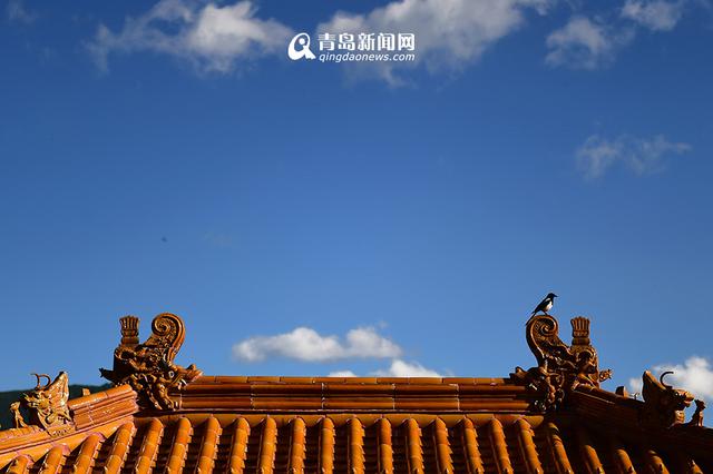 【西游记】晒五台山绝美大片 天空不输青岛蓝
