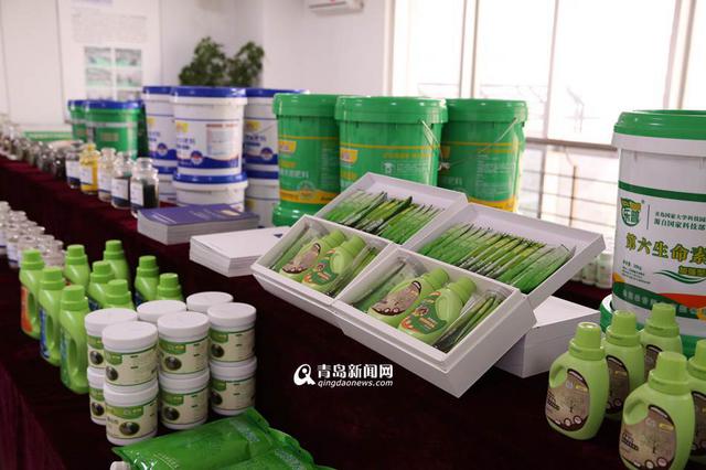 青岛已清理浒苔超7万吨 青岛已清理浒苔超7万吨