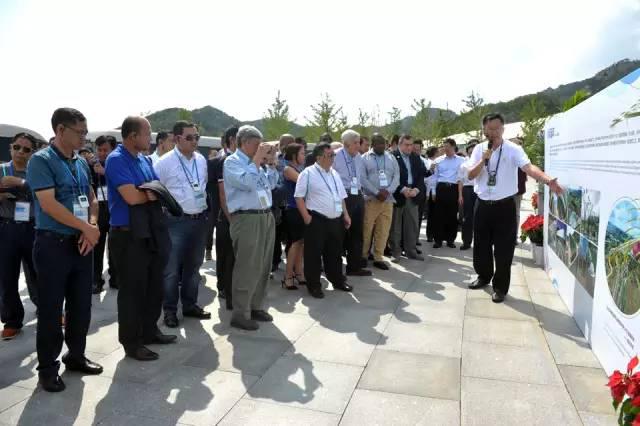 C20会议嘉宾眼中的青岛：创新 魅力 活力(图)