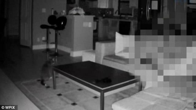 女子请人照顾猫 却发现对方在她家上演活春宫 女子请人照顾猫 却发现对方在她家上演活春宫