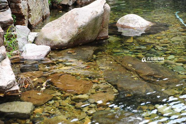 雨后北九水恢复五成功力 游客兴奋玩水 雨后北九水恢复五成功力 游客兴奋玩水