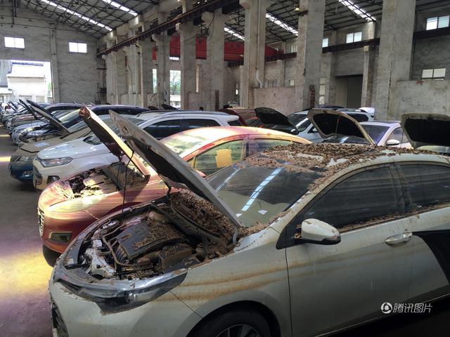 武汉各型泡水车亮相拍卖会 数量上万台