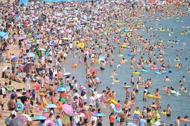 高清：青岛再现下饺子盛况 海水浴场变游泳池