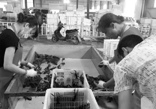 长江商报消息受此影响，市场小龙虾供不应求，平均每斤较上月上涨2-3元