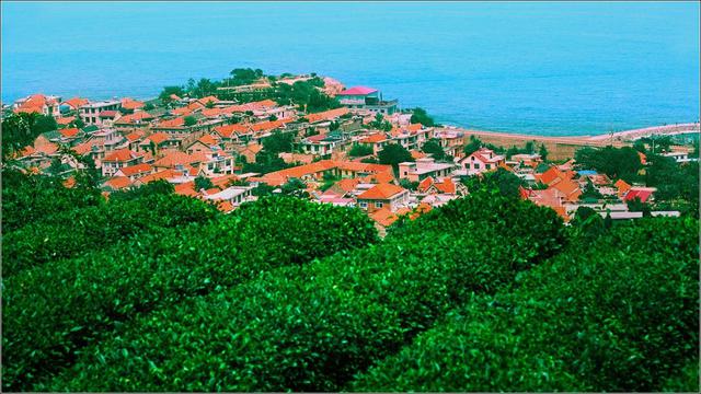 看不尽的渔村美!光明日报盛赞青岛世外桃源