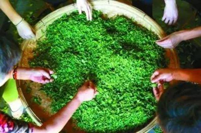 看不尽的渔村美!光明日报盛赞青岛世外桃源