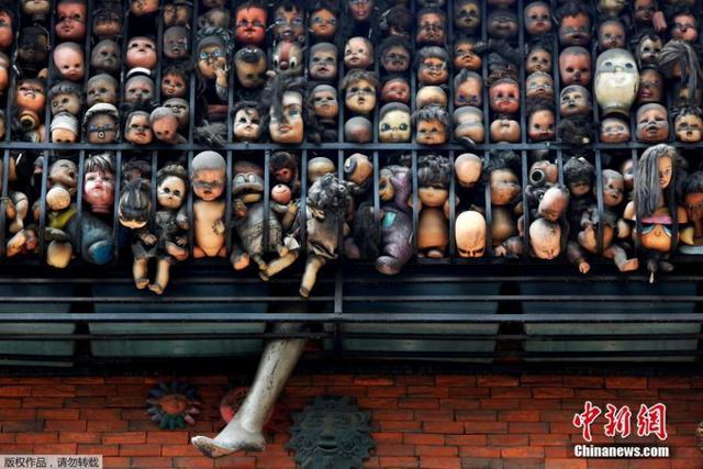 组图:委内瑞拉男子收集玩偶 挤满阳台景象骇人