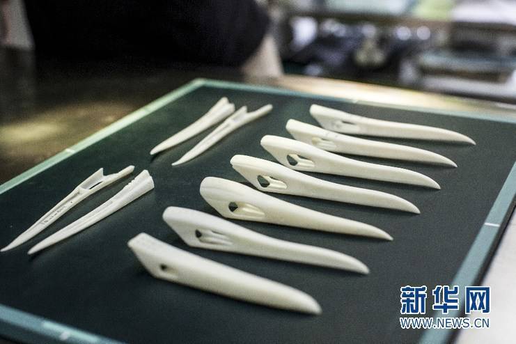 丹顶鹤打架弄断上喙 被装上3D打印钛合金嘴