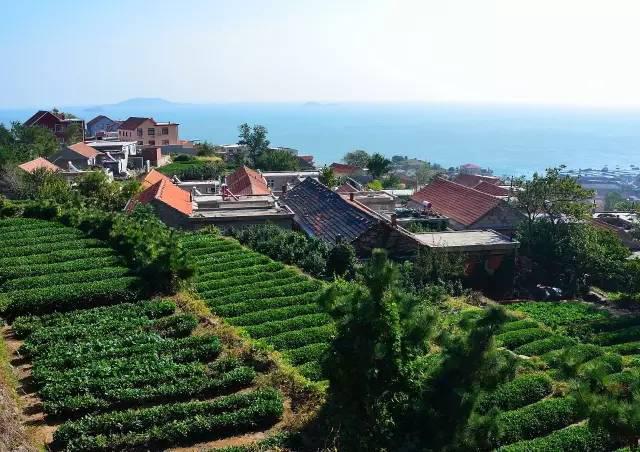 组图:青岛8个绝美的地方你知道吗?周末走起!