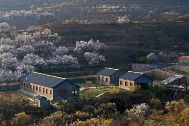 组图:青岛8个绝美的地方你知道吗?周末走起!