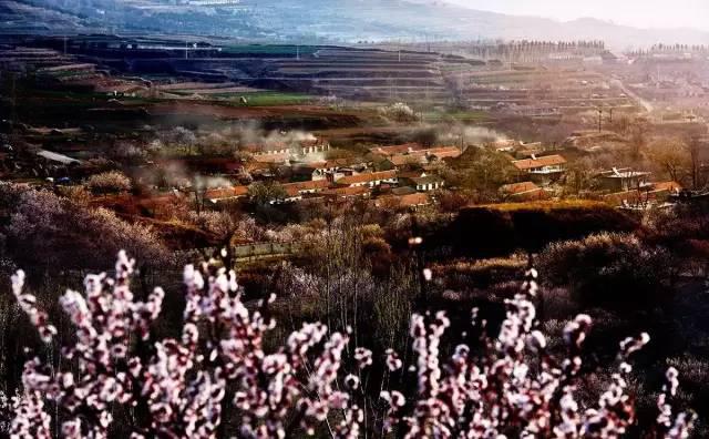 组图:青岛8个绝美的地方你知道吗?周末走起!