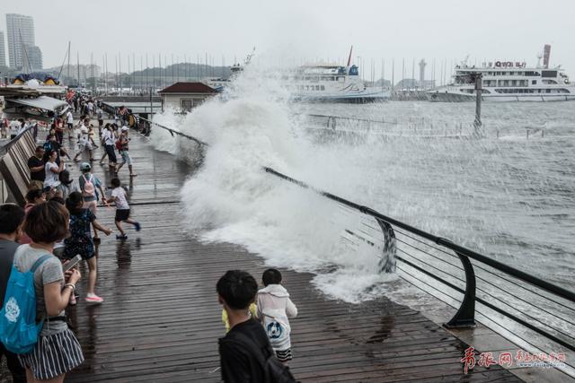 组图:青岛前海沿现巨浪滔天 七大浴场全关闭