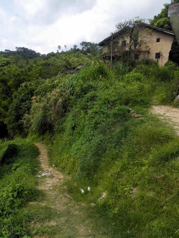 村民3子女疑被13岁男孩杀死 尸体叠在一起